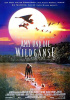 small rounded image Amy und die Wildgänse