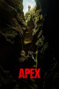 small rounded image Apex (2025)
