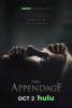 small rounded image Appendage