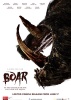 small rounded image Boar