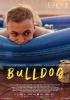 small rounded image Bulldog