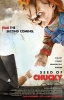 small rounded image Chuckys Baby