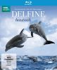 small rounded image Delfine Hautna