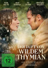small rounded image Der Duft von wildem Thymian
