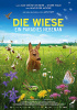 small rounded image Die Wiese - Ein Paradies nebenan