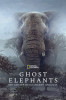 small rounded image Ghost Elephants