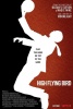 small rounded image High Flying Bird