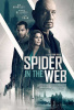 small rounded image Spider in the Web