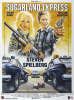 small rounded image Sugarland Express