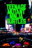 small rounded image Turtles