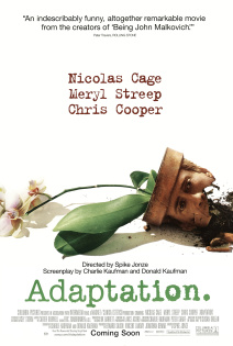 stream Adaption