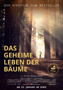 stream Das geheime Leben der Bäume