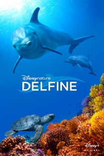 stream Delfine