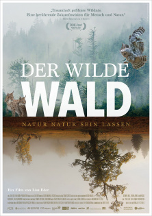 stream Der wilde Wald - Natur Natur sein lassen