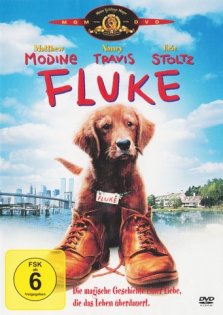 stream Fluke