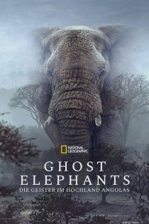 stream Ghost Elephants