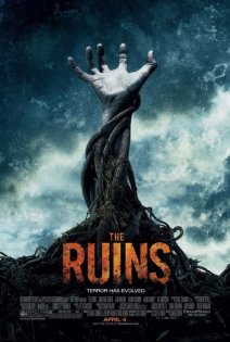 stream Ruinen
