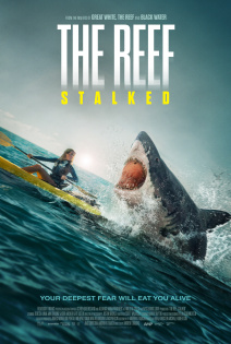 stream The Reef: Stalked