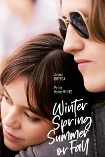 stream Winter Spring Summer or Fall
