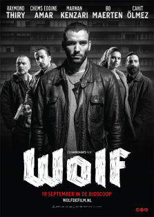 stream Wolf