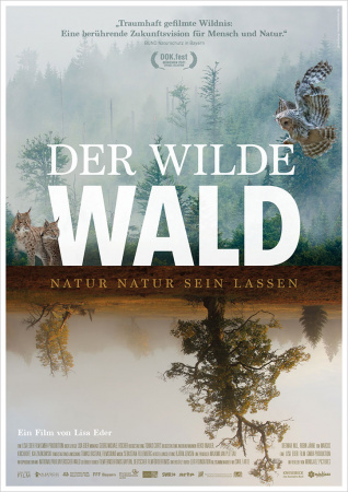 Der wilde Wald - Natur Natur sein lassen