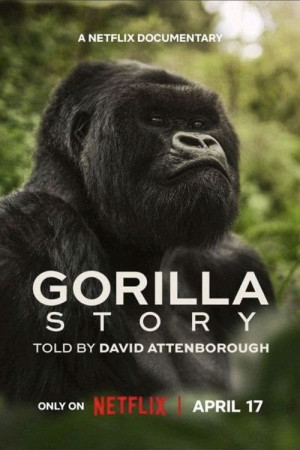 Eine Gorilla Story erzählt von David Attenborough