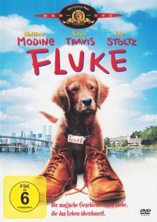 Fluke